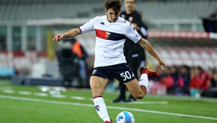 Andrea Cambiaso