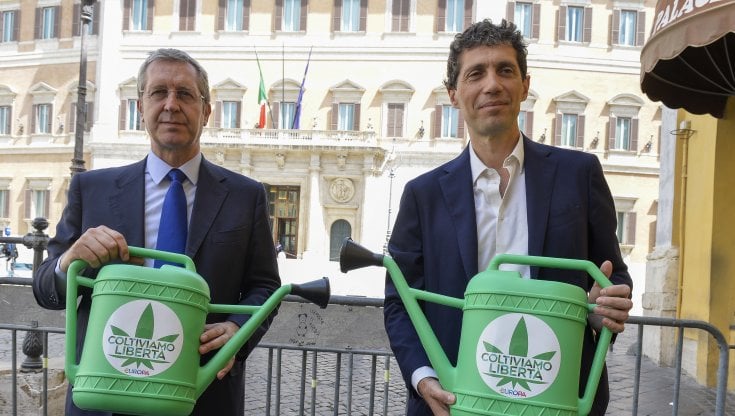 Da sinistra: Benedetto Della Vedova e Riccardo Magi promuovono la legge sulla legalizzazione della coltivazione domestica della cannabis