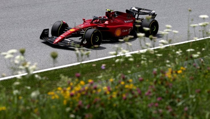 Carlos Sainz 