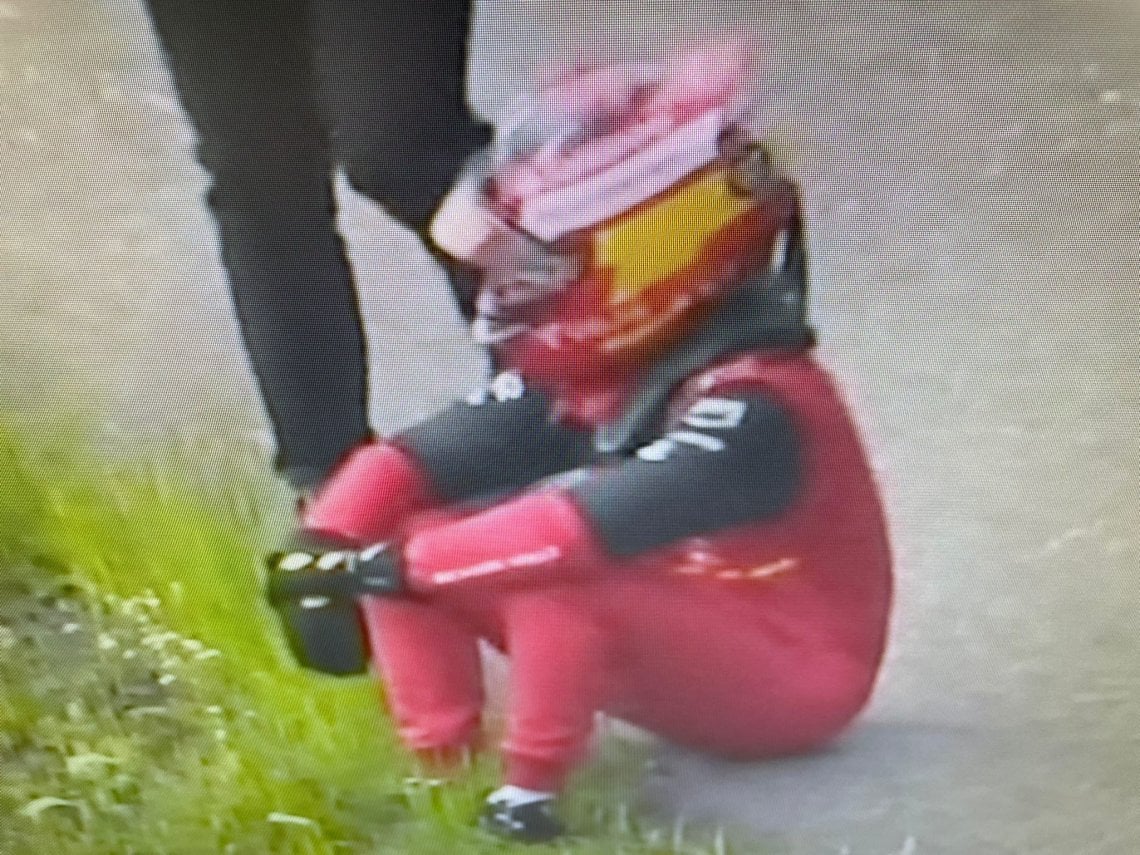 Carlos Sainz si riprende dopo lo spavento