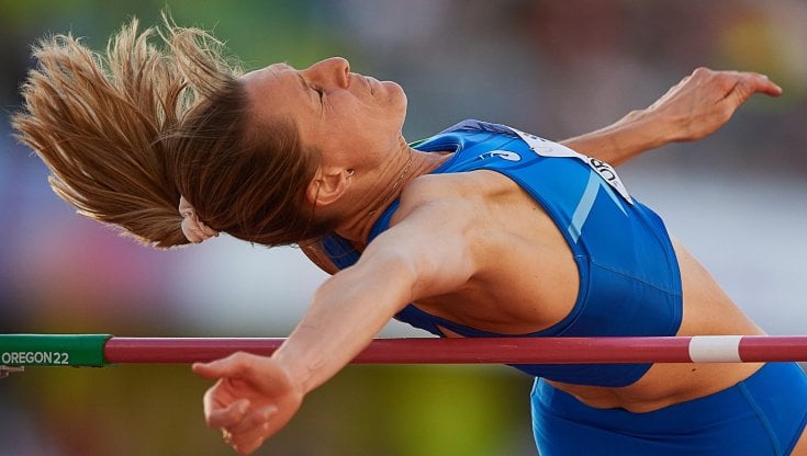 Elena Vallortigara
