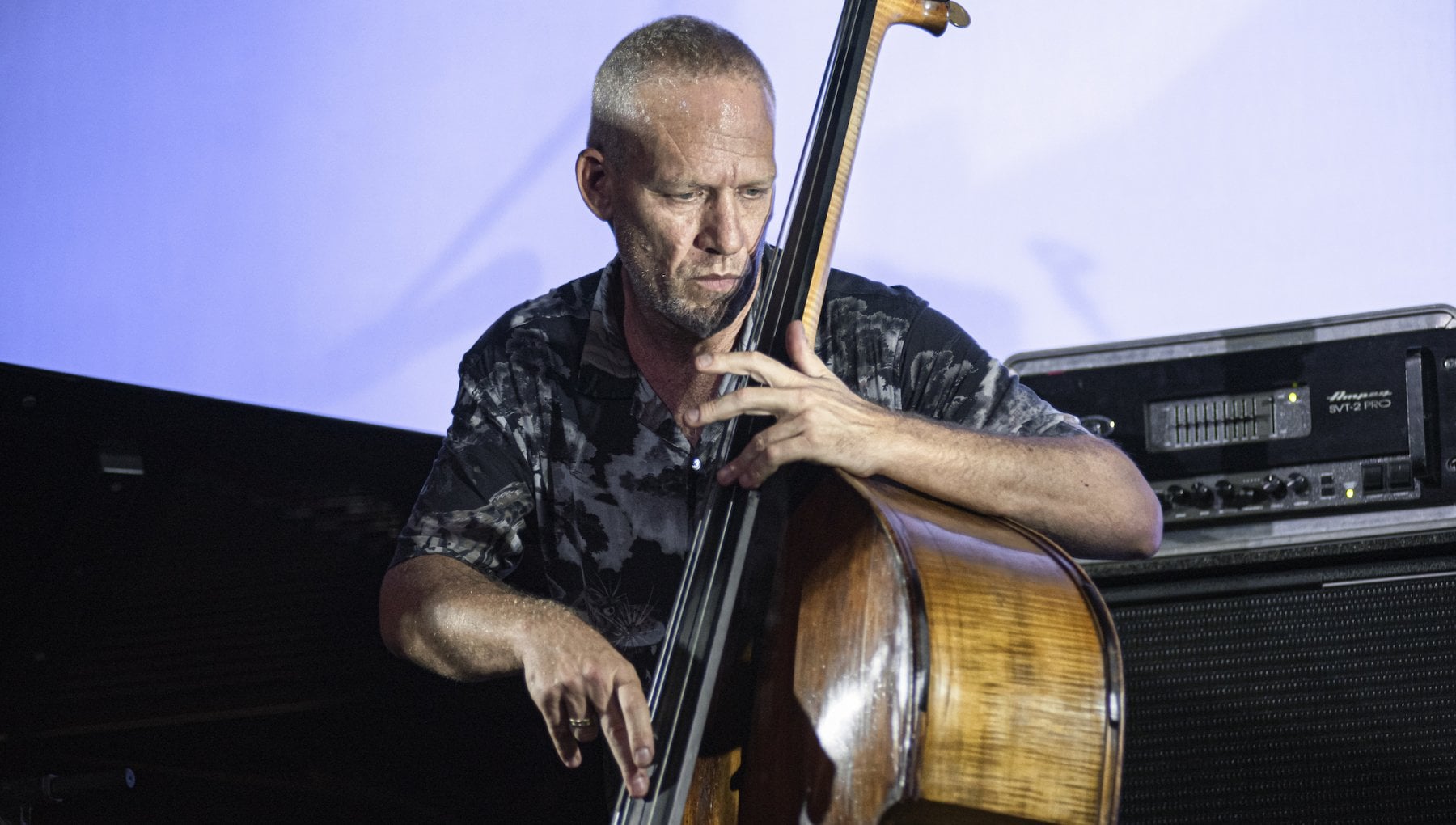 Avishai Cohen, un ponte jazz tra Occidente, Medio Oriente e Caraibi: "È l'unica forma di musica che rende possibile qualcosa d'inedito”