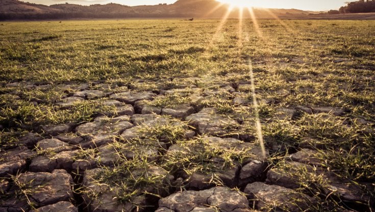 Siccità, perso un terzo dei raccolti. La sete dei campi potrebbe costare fino a 6 miliardi