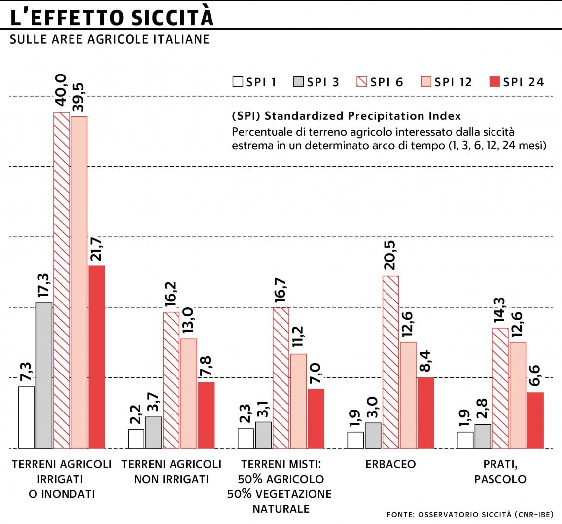 &nbsp;Grafico a cura di Silvano Di Meo