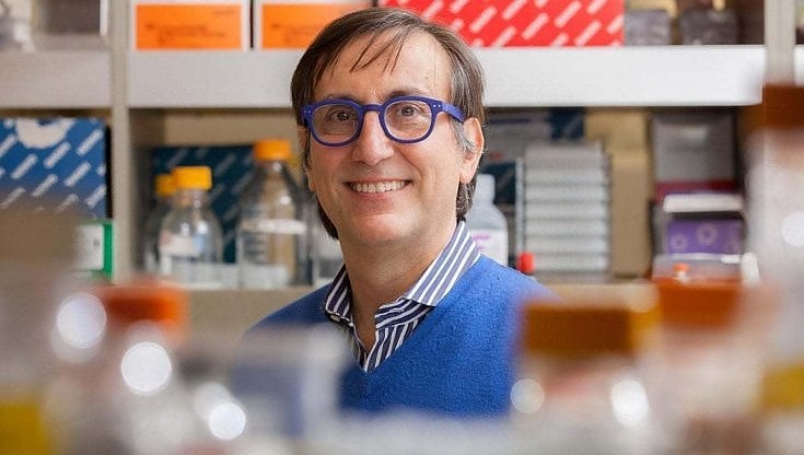 Lo scienziato Alessandro Sette: "Da vaccini e contagi un muro di immunità. Ecco come il Covid grave è quasi scomparso"