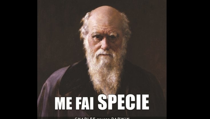 Uno dei mene di "La scienza coatta" su Facebook