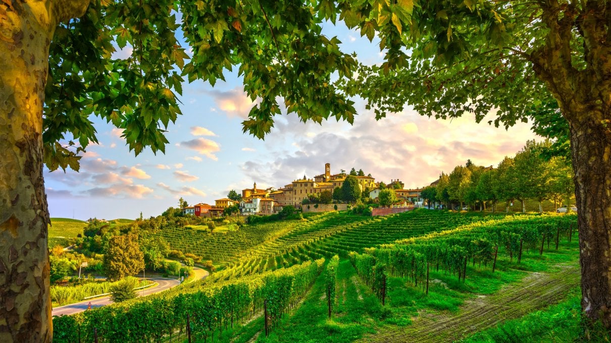Langhe, tra nebbie e tradizione
