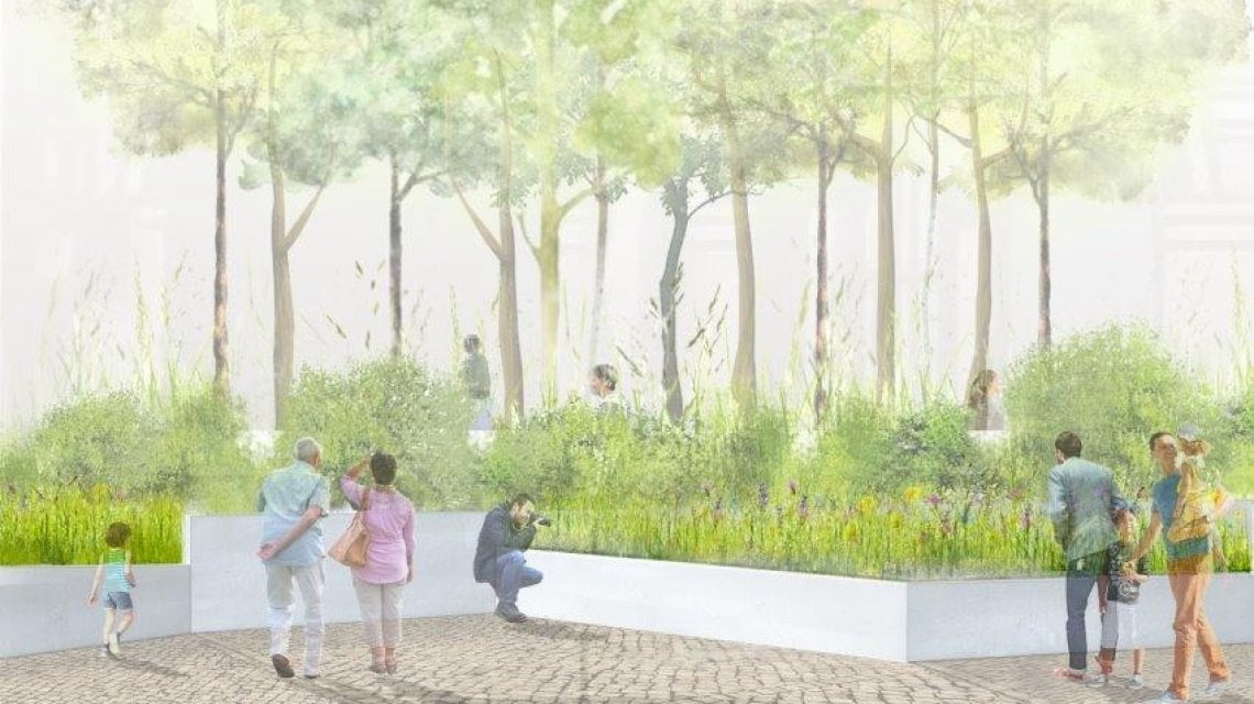 disegno piazza Vecchia