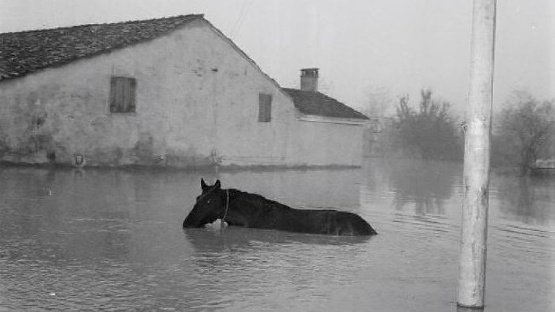 L'alluvione del Polesine nel 1951