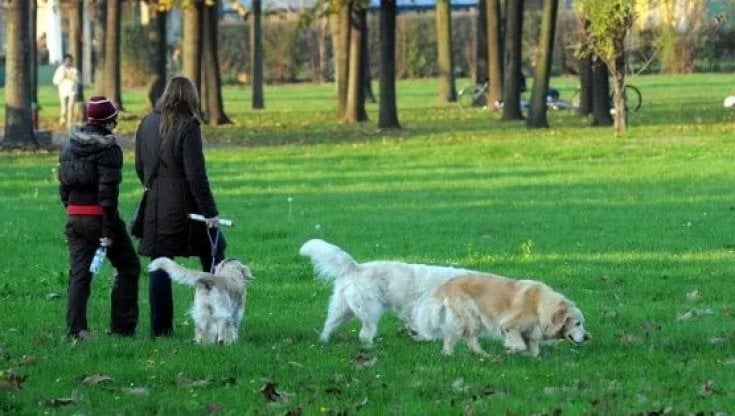 L’area cani 