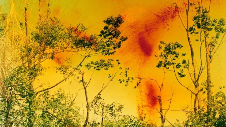 Il mondo come potrebbe essere, secondo Wolfgang Tillmans 