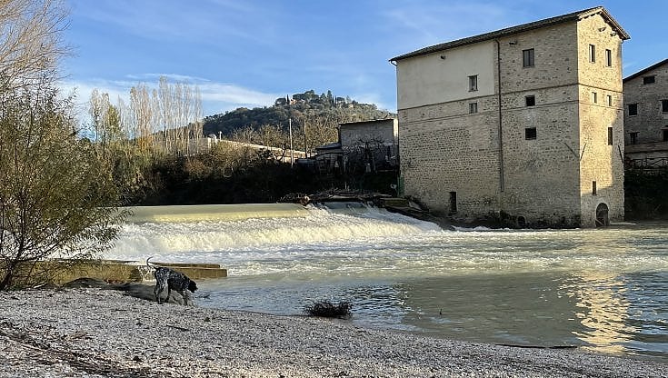 Torgiano, Parco dei Mulini