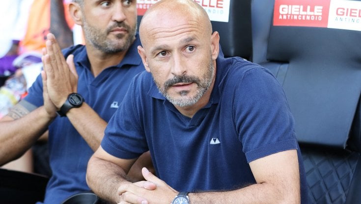 Vincenzo Italiano