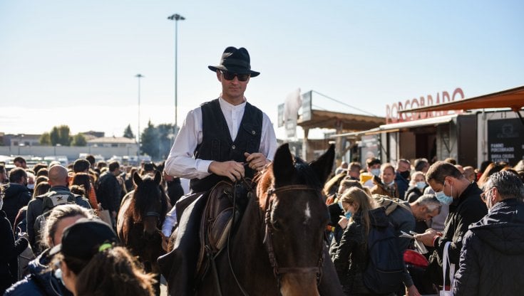 L'edizione 2021 di Fieracavalli