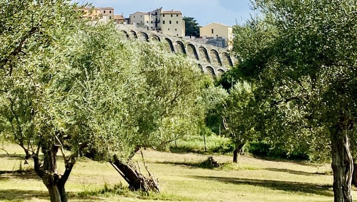 Maiolati Spontini (foto Ilaria Gamucci)