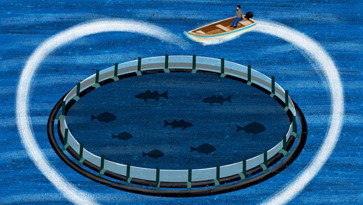 Illustrazione di Alberto Ruggieri