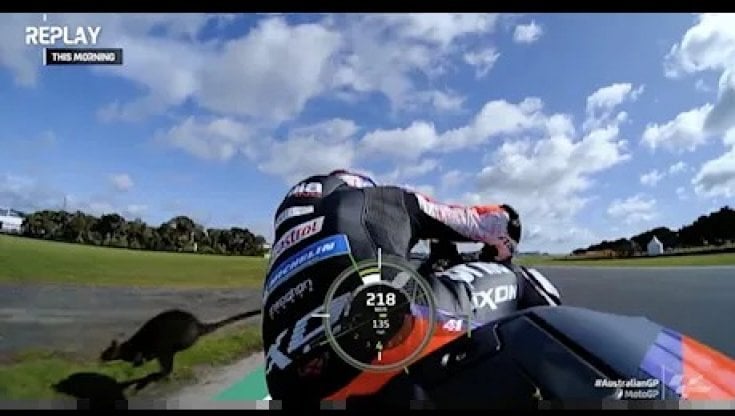 MotoGp, Australia: Zarco il più veloce nelle libere. Quartararo meglio di Bagnaia tra vento e freddo. E un canguro spaventa Espargaro