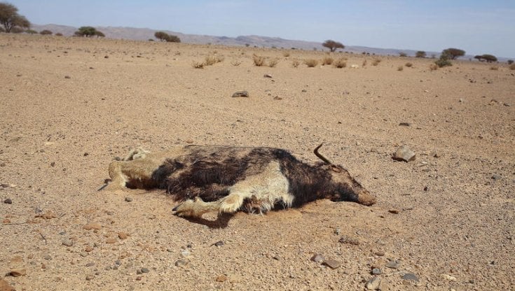 Africa: aumentano i debiti causati dai cambiamenti climatici e i Paesi più morosi sono anche i più esposti alle "punizioni" del clima 