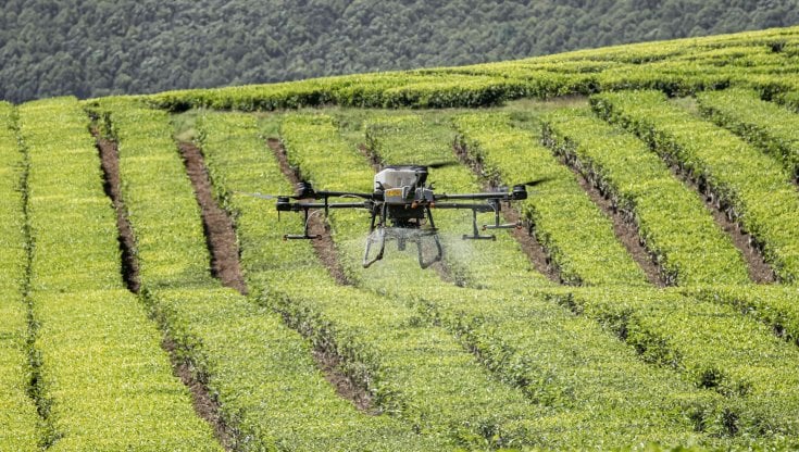Il buon cibo salverà il pianeta
