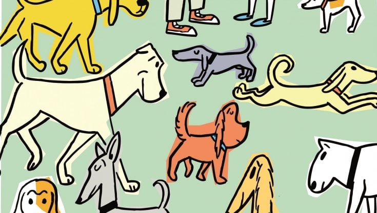 Perché il cane è il nostro migliore amico. Dall'inizio dell'umanità