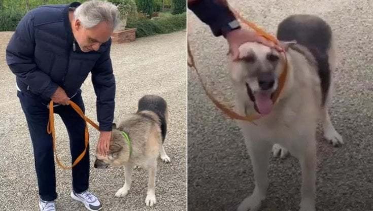 Bocelli e il cane ucraino Jack