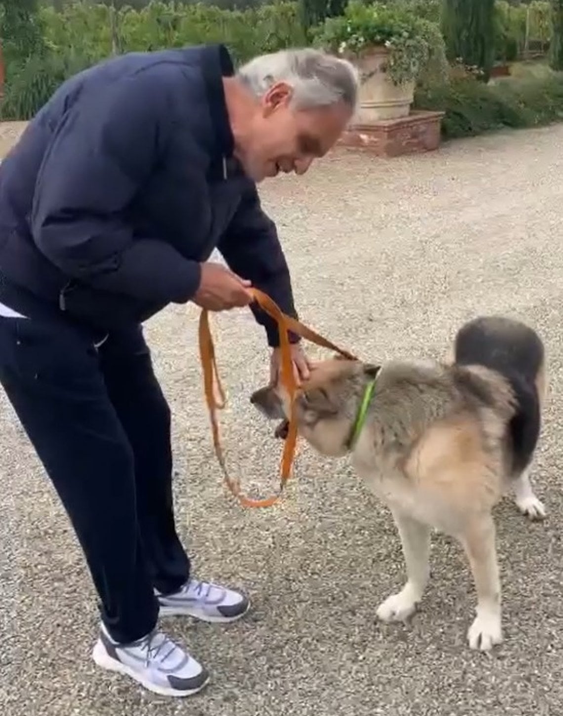 Bocelli e il cane ucraino Jack