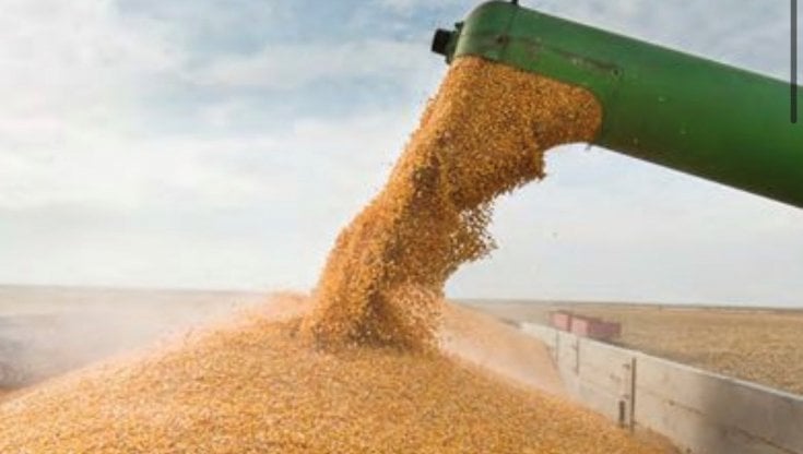 32. Il ricatto del grano