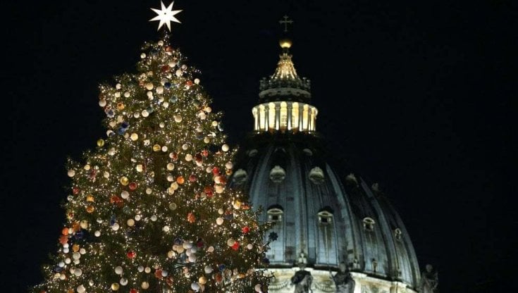 L'abete della discordia di piazza San Pietro: "Stop al taglio"