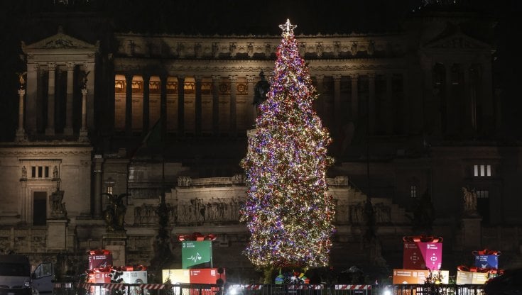 Da Spelacchio all'abete 'fuorisede': trent'anni di polemiche sull'albero di Natale in piazza