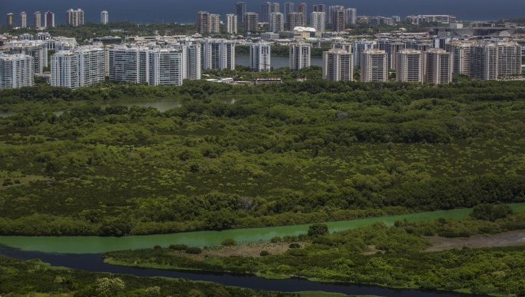 Il quartiere Barra da Tijuca di Rio de Janeiro, in Brasile, sorge accanto a un&rsquo;area paludosa e ricca d&rsquo;acqua