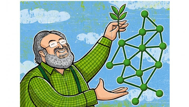 Illustrazione di Alberto Ruggieri