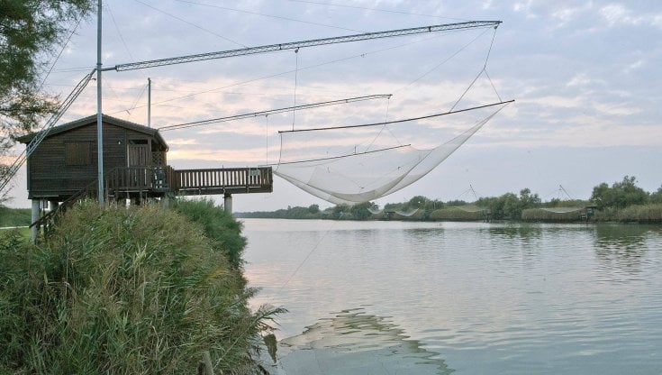 Cammini, ciclabili e percorsi di scoperta. Emilia Romagna e Veneto blindano il futuro slow del turismo nel Delta del Po