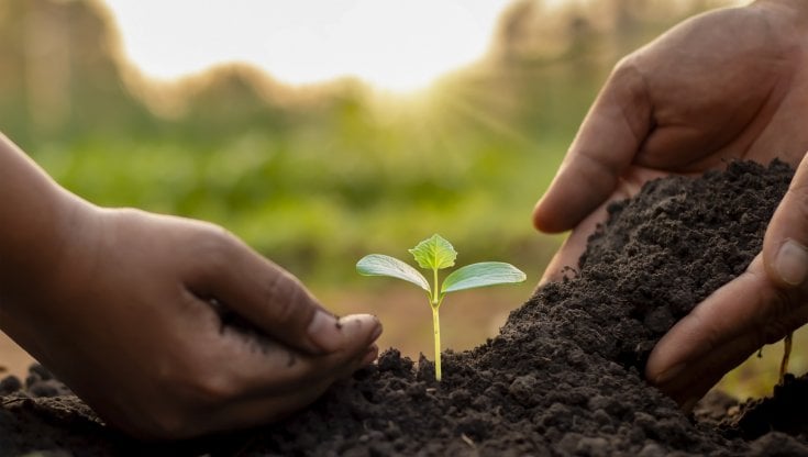 La classificazione dei crediti di carbonio