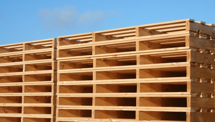 Con Palm il pallet è amico dell’ambiente