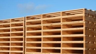 Con Palm il pallet è amico dell’ambiente