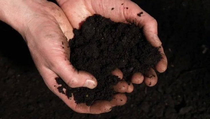 Il rapporto globale dei "suoli neri", preziosi panieri che forniscono cibo a milioni di persone, fertili e ricchi di nutrimenti come sono 