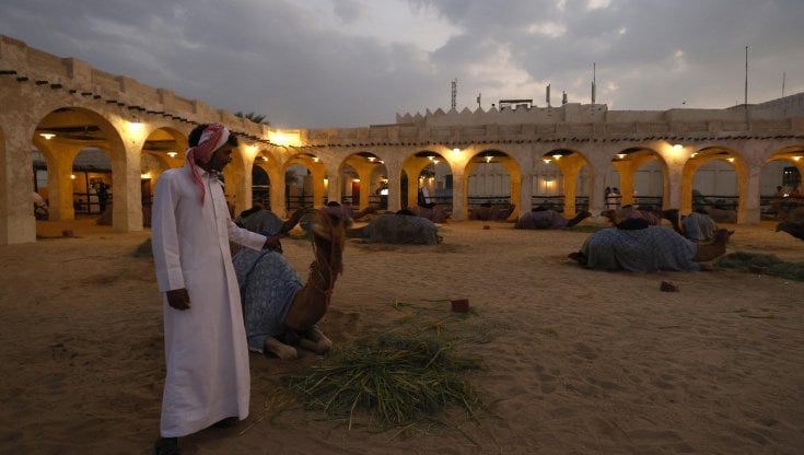 Mondiali Qatar, incidente nel resort dell'Arabia Saudita: morto operaio filippino