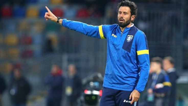 Fabio Grosso, tecnico del Frosinone