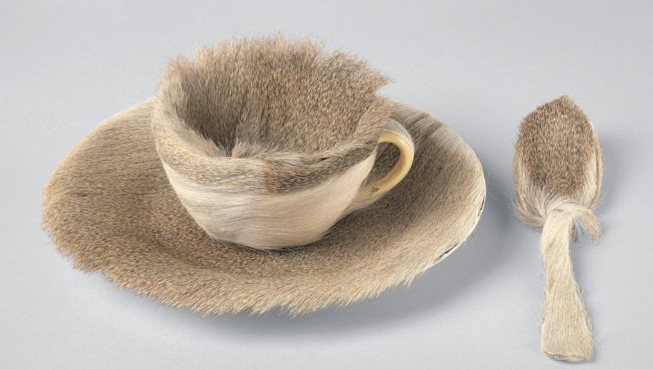 Meret Oppenheim: "una creativa androgina"