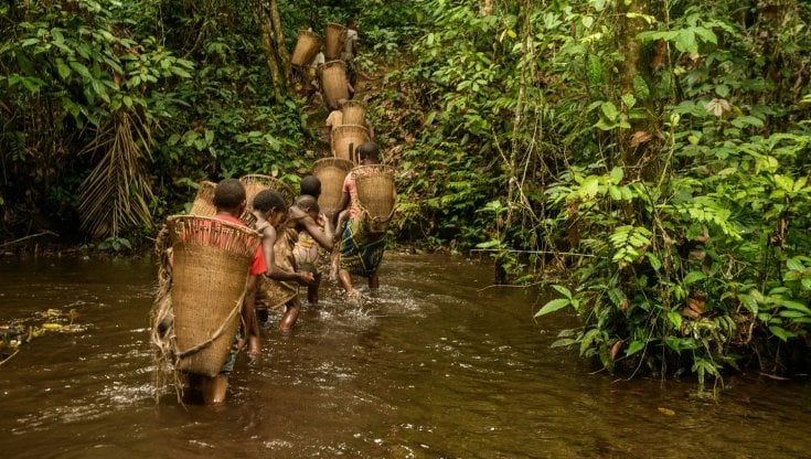 La popolazione dei pigmei Bayaka in una foresta equatoriale della Repubblica Centro Africana