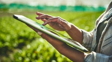 Economia circolare e rinnovabili, l'impegno di Conserve Italia