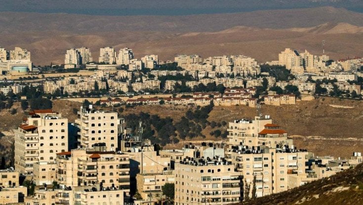 Cisgiordania, quotidiano palestinese accusa Israele di addestrare “mucche spia”