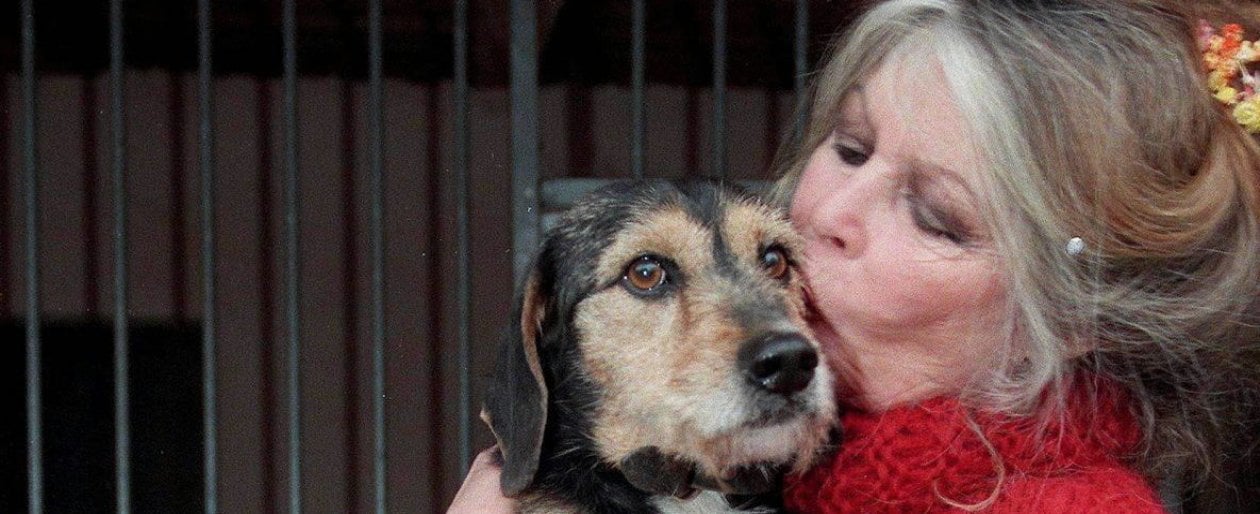 Brigitte Bardot, la stella nascosta tra i cani e&nbsp;Le&nbsp;Pen