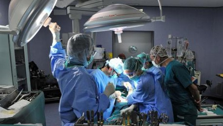 L'anno record delle donazioni di organi, in Italia boom di trapianti