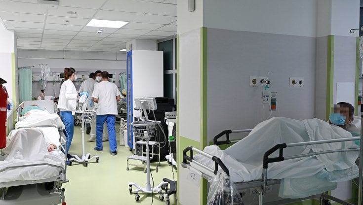 Dopo l'inchiesta di Repubblica, interrogazione al Parlamento: "Più soldi per la sanità pubblica"