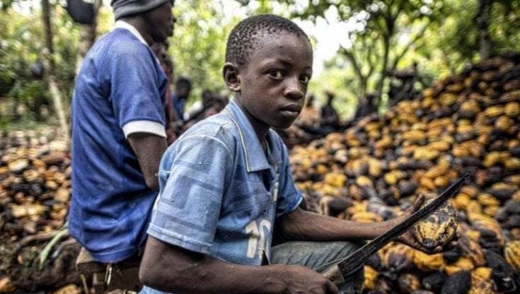 Africa, le regole ingiuste del mercato globale: Camerun, Ghana e Costa d’Avorio, dialogano con l’UE per un cacao sostenibile ed equo