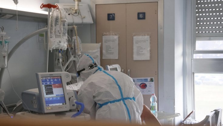 Covid, Ema: "Vaccini in futuro una volta all'anno"