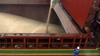 Cosa produce l'Ucraina e perch&eacute; il grano di Kiev &egrave; fondamentale