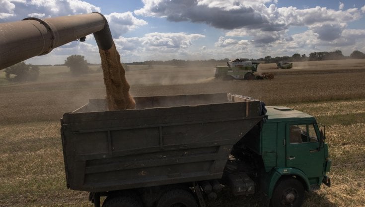 Che cosa produce l'Ucraina e perché il grano di Kiev è fondamentale