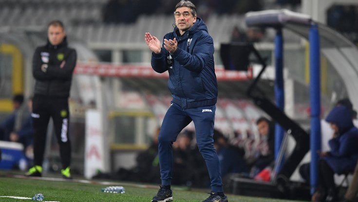 Ivan Juric